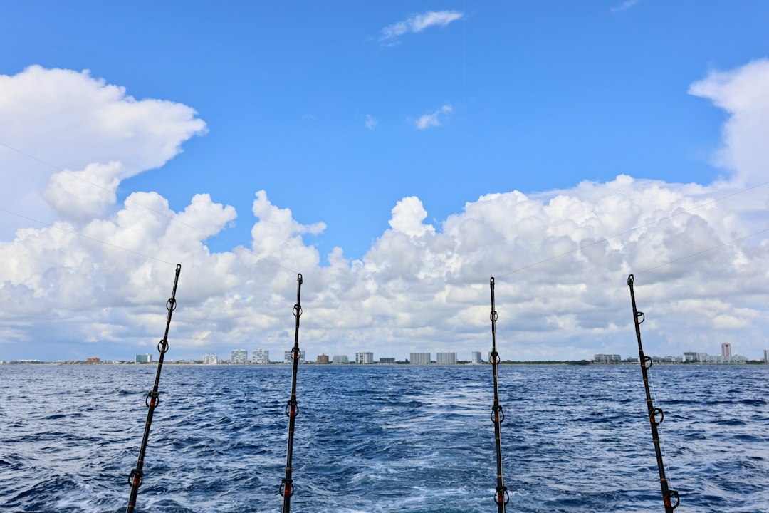 Four offshore fishing rods set up on a boat